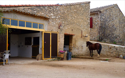 ecurie des chevaux